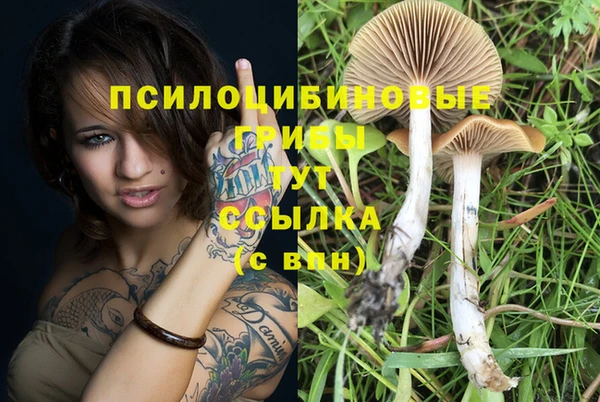 ALPHA-PVP Армянск