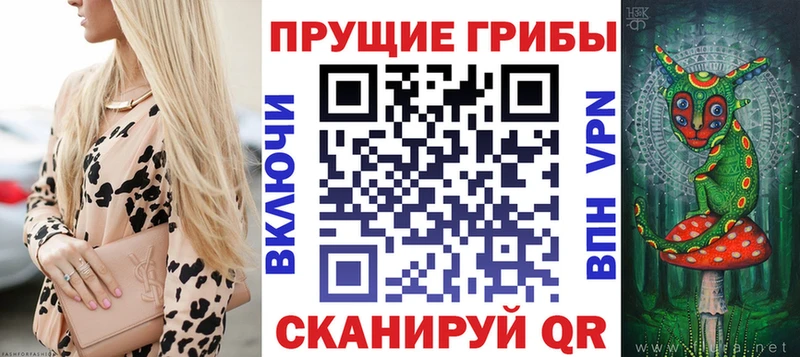 Псилоцибиновые грибы Psilocybe  Луховицы 